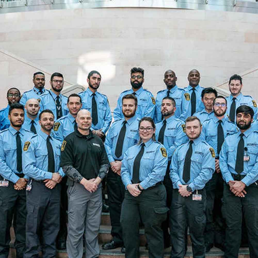 bee safe security team